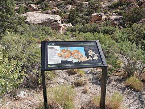 Handprints Trail