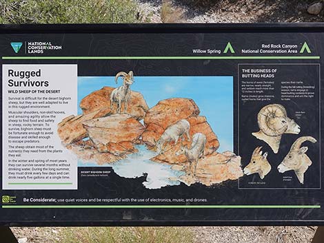 Handprints Trail