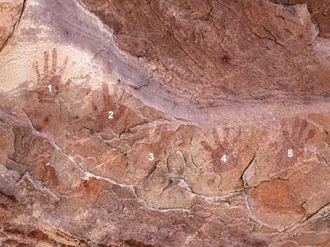 Handprints Trail