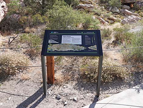Handprints Trail