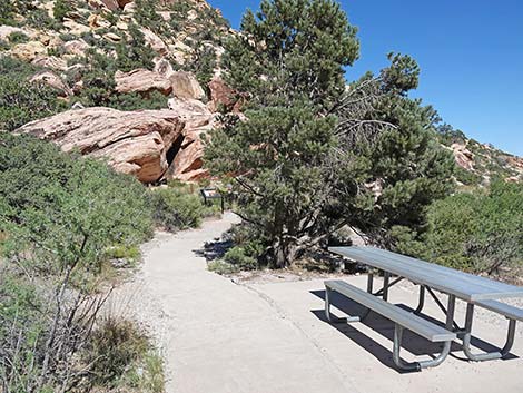 Handprints Trail