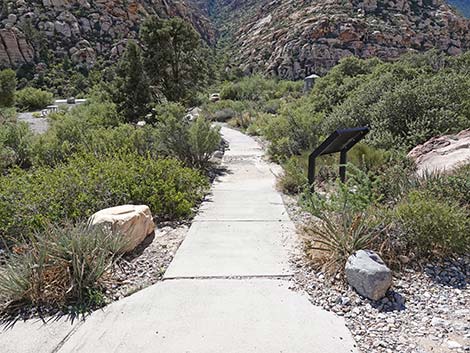 Handprints Trail