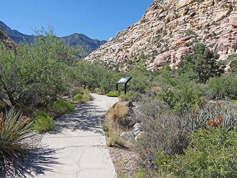 Handprints Trail