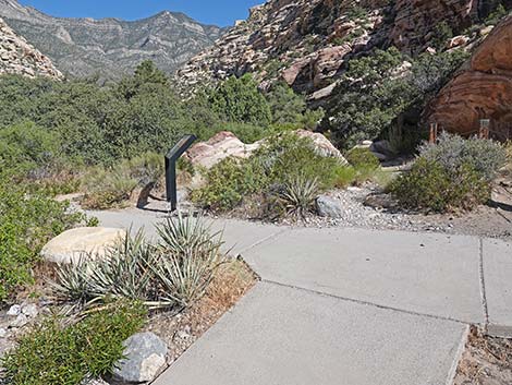 Handprints Trail