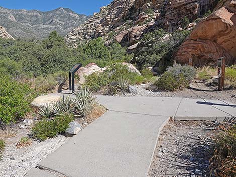 Handprints Trail