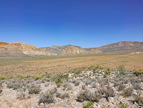 Moenkopi Trail