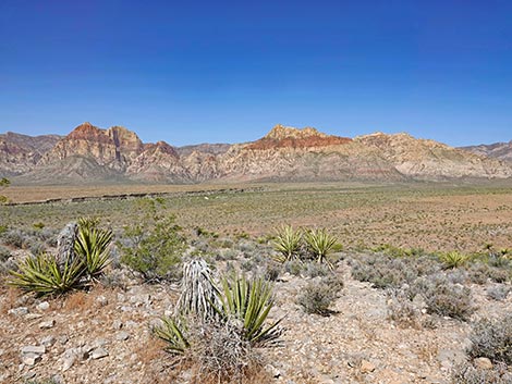 Moenkopi Trail