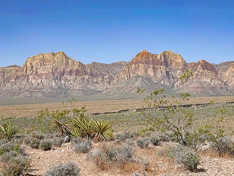 Moenkopi Trail
