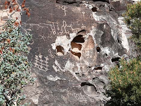 Red Rocks Canyon National Conservation Area