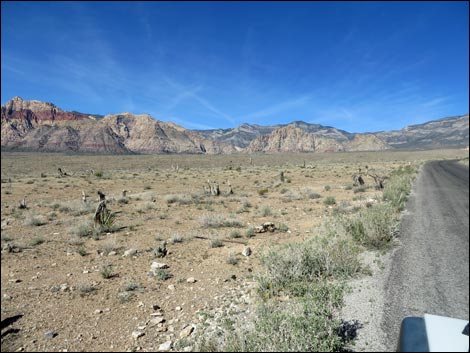 Scenic Loop Road