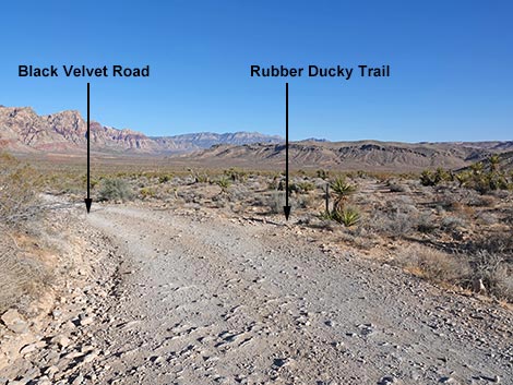 Rubber Ducky Trail