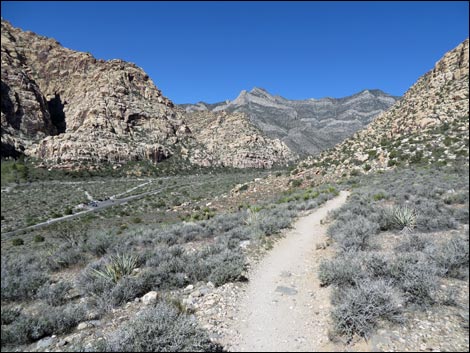 White Rock Loop Trail