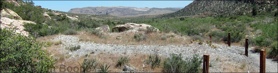 Agave Roasting Pit
