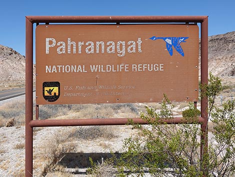 Pahranagat National Wildlife Refuge
